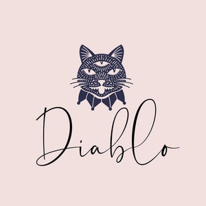 313198809_101787442746036_669249157686907419_n - Empressio