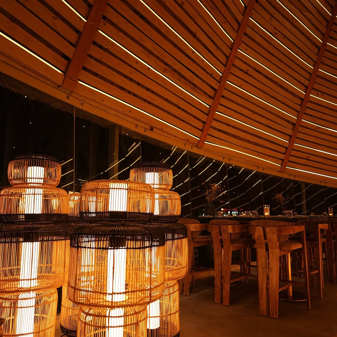 Untitled_design_-_2025-02-22T154626.655 - Empressio